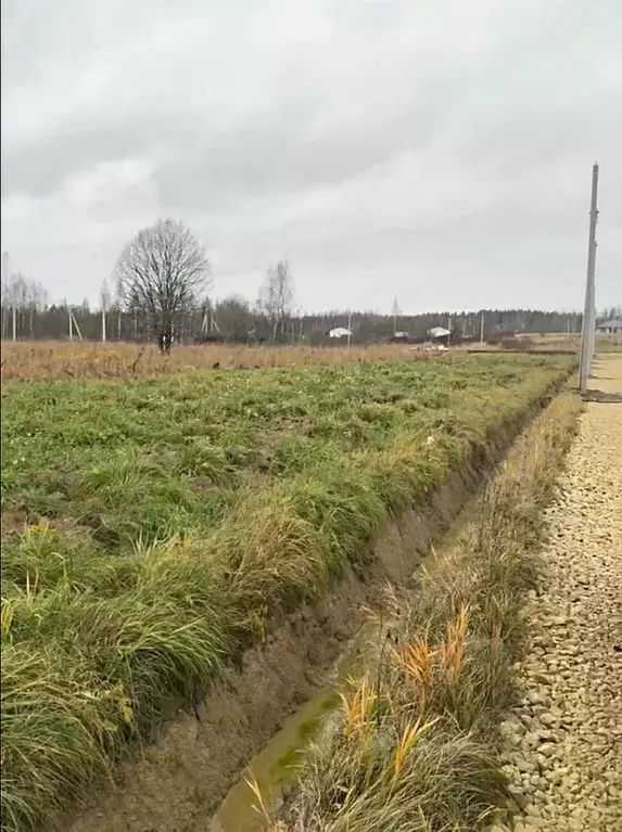 Участок в Ленинградская область, Ломоносовский район, Низинское с/пос, ... - Фото 0