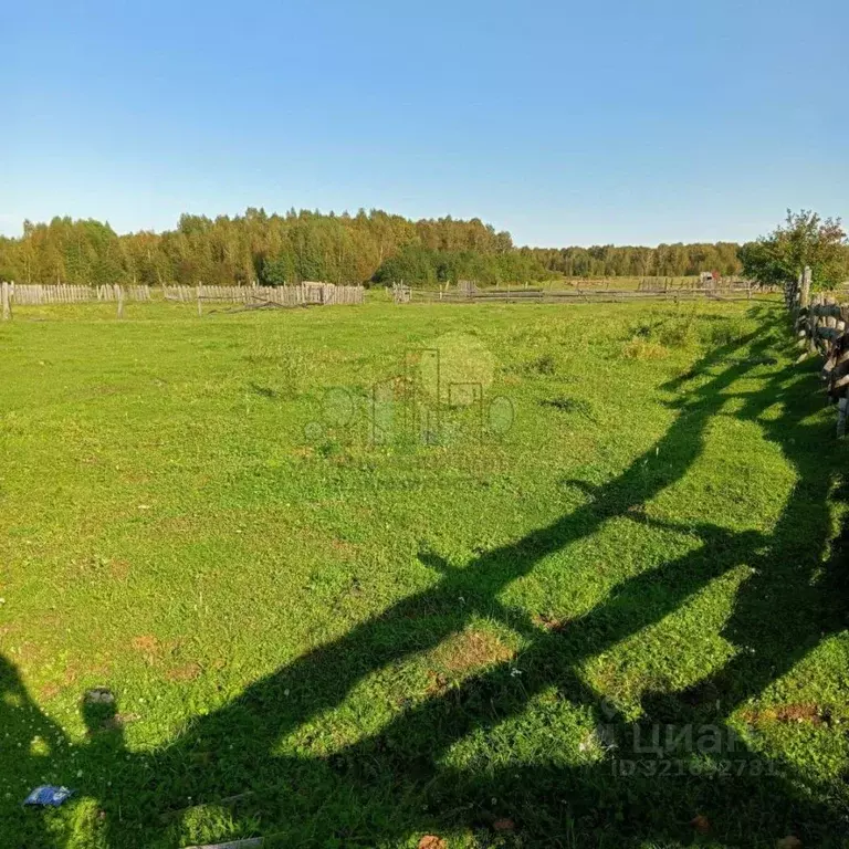 Участок в Иркутская область, Эхирит-Булагатский район, Захальское ... - Фото 1