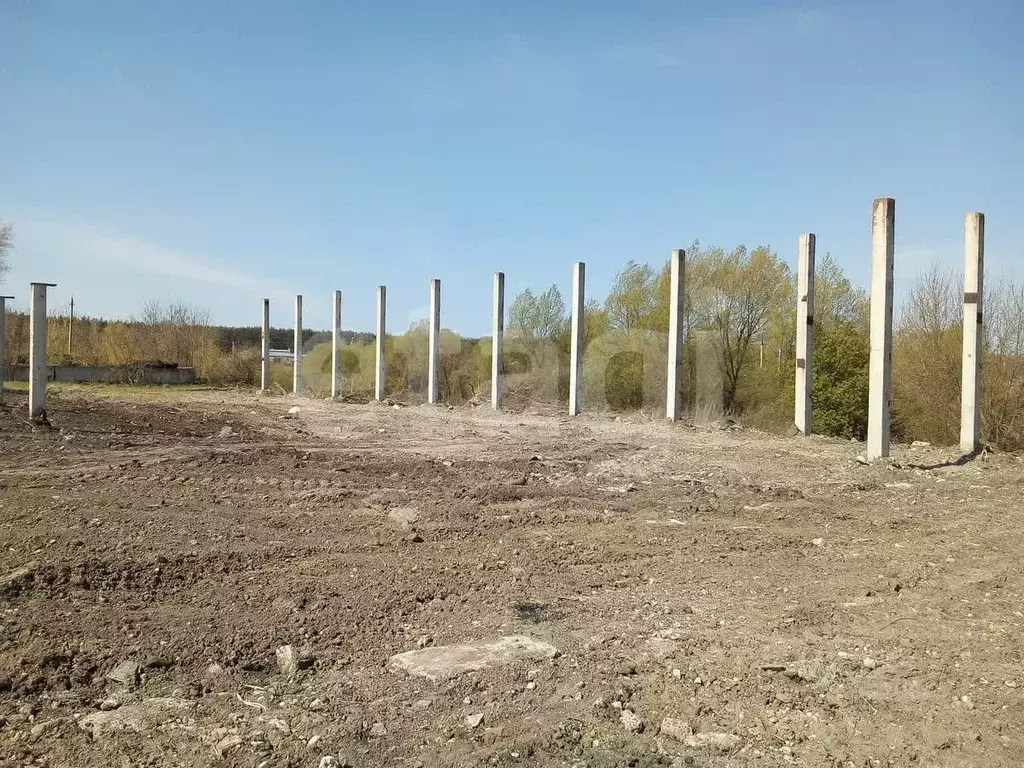 Помещение свободного назначения в Белгородская область, Белгород ... - Фото 1