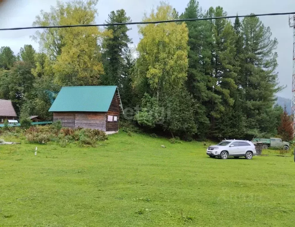 Дом в Алтай, Турочакский район, с. Артыбаш Молодежная ул. (48 м) - Фото 0