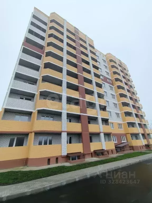 1-к кв. Брянская область, Брянский район, пос. Мичуринский ул. Андрея ... - Фото 1