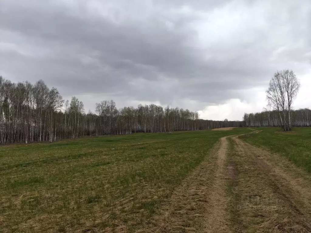 Участок в Челябинская область, Сосновский муниципальный округ, с. ... - Фото 1