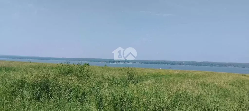 Участок в Новосибирская область, Искитимский район, Мичуринский ... - Фото 2