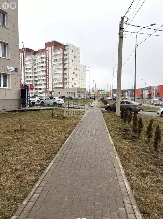 Помещение свободного назначения (44 м) - Фото 2
