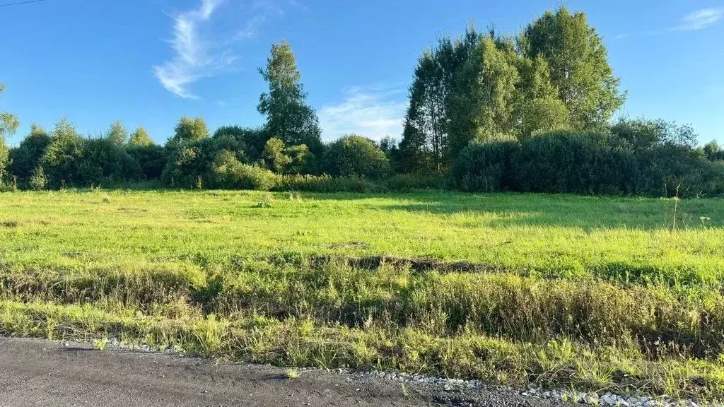 Участок в Московская область, Серпухов городской округ, д. Игнатьево, ... - Фото 1