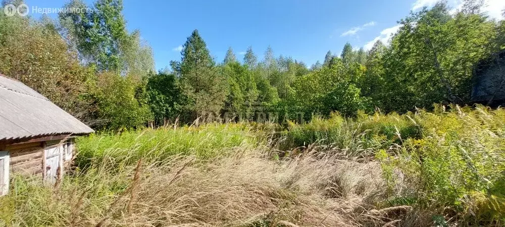 Участок в Медведевский район, Куярское сельское поселение, СНТ Чодра ... - Фото 1