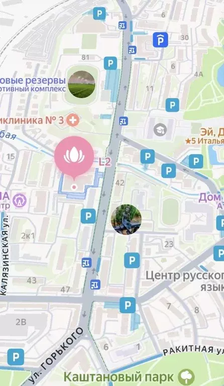 Офис в Калининградская область, Калининград ул. Горького, 55 (18 м) - Фото 2