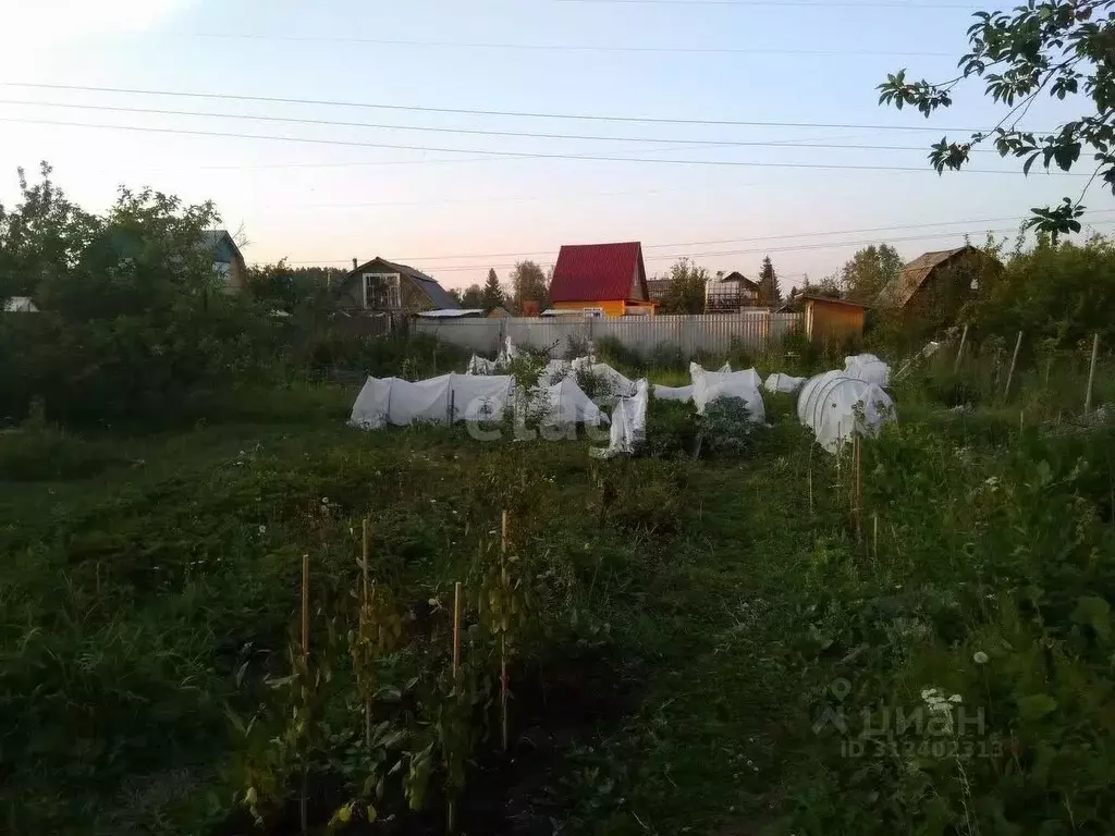 Дом в Свердловская область, Екатеринбург Нива СНТ, 125 (10 м) - Фото 1