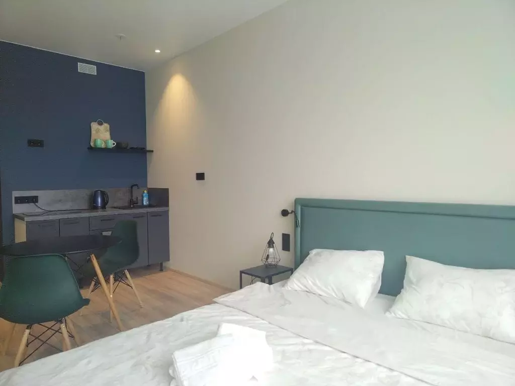 Студия Санкт-Петербург просп. Энергетиков, 8к2 (25.0 м) - Фото 2