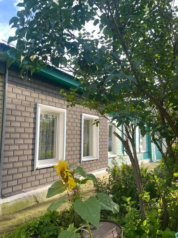 Дом в Челябинская область, Челябинск Полярная ул., 3 (47 м) - Фото 1