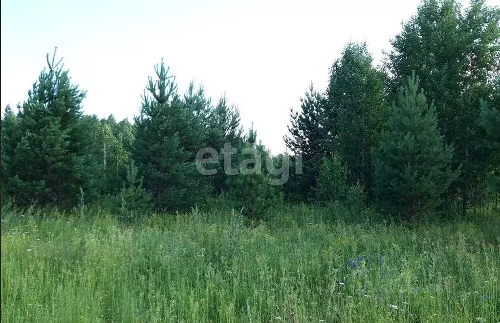 Участок в Тюменская область, Нижнетавдинский муниципальный округ, ... - Фото 1