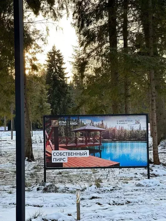 Участок в Московская область, Клин городской округ, Ели Эстейт ... - Фото 1