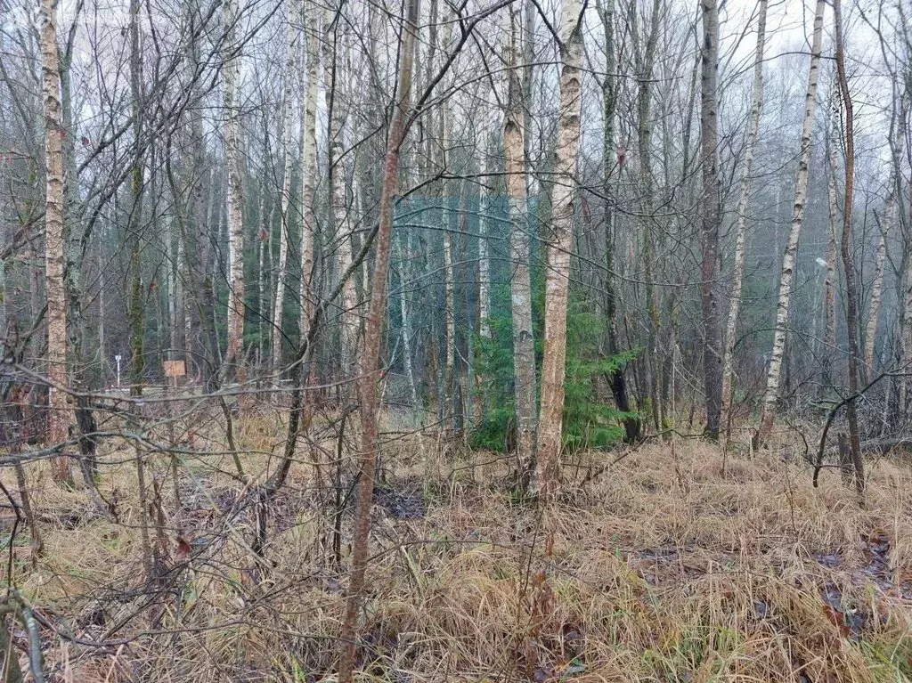 Участок в Москва, ТАО, район Вороново, деревня Тетеринки (12 м) - Фото 0