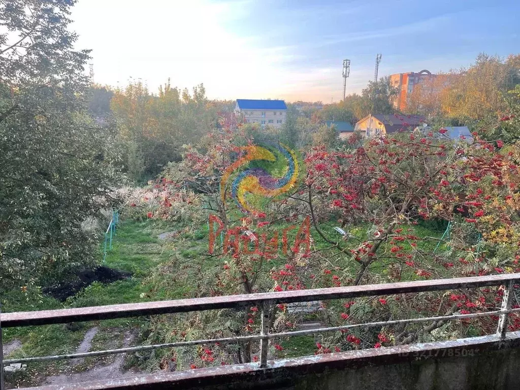 2-к кв. Ивановская область, Иваново Родниковская ул., 42 (48.0 м) - Фото 2