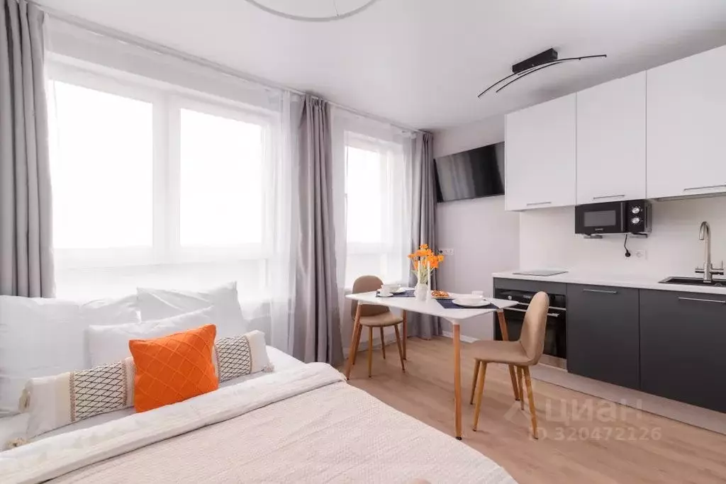 Студия Московская область, Люберцы городской округ, Мирный пгт ул. ... - Фото 2