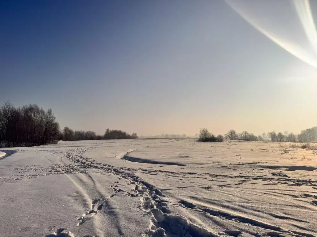 Участок в Калининградская область, Гурьевский муниципальный округ, ... - Фото 1