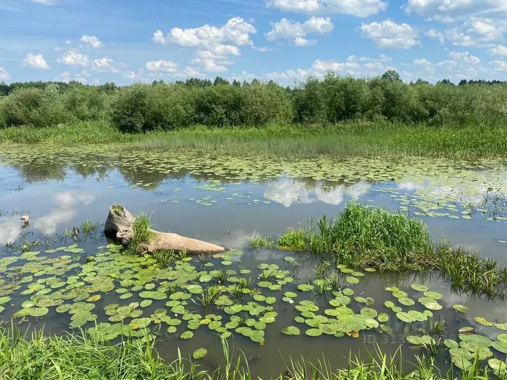 Участок в Челябинская область, Сосновский район, Кременкульское с/пос, ... - Фото 0