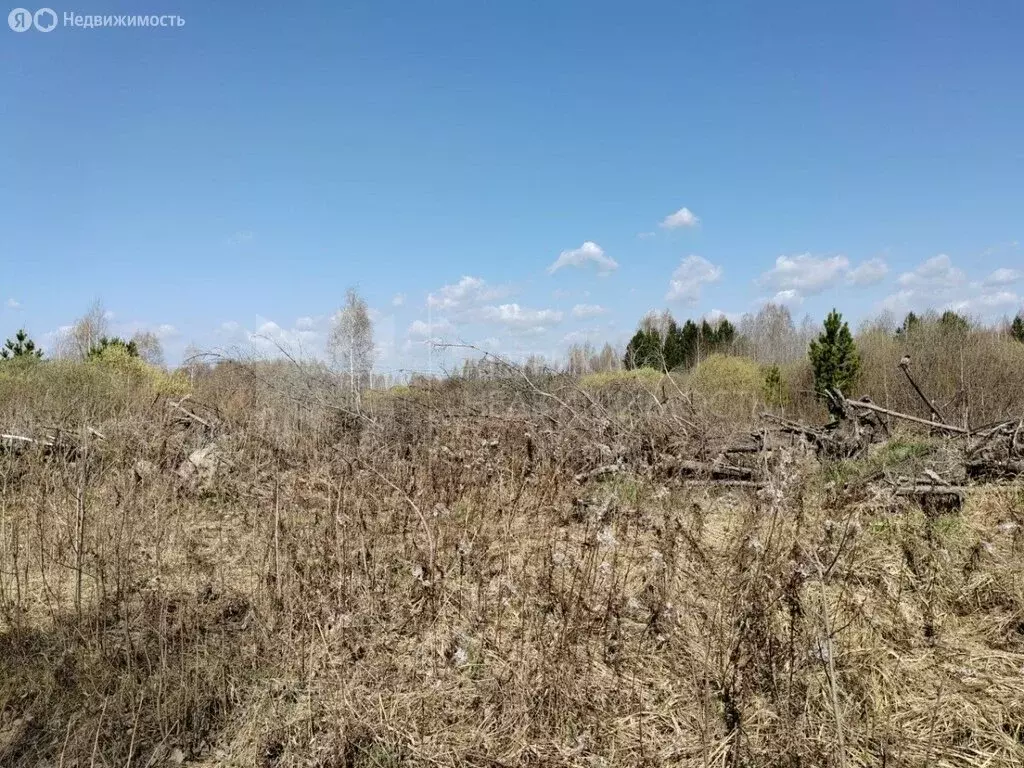 Участок в Нижнетавдинский район, садоводческое некоммерческое ... - Фото 1