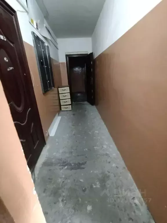 Свободной планировки кв. Новосибирская область, Новосибирск ул. В. ... - Фото 1