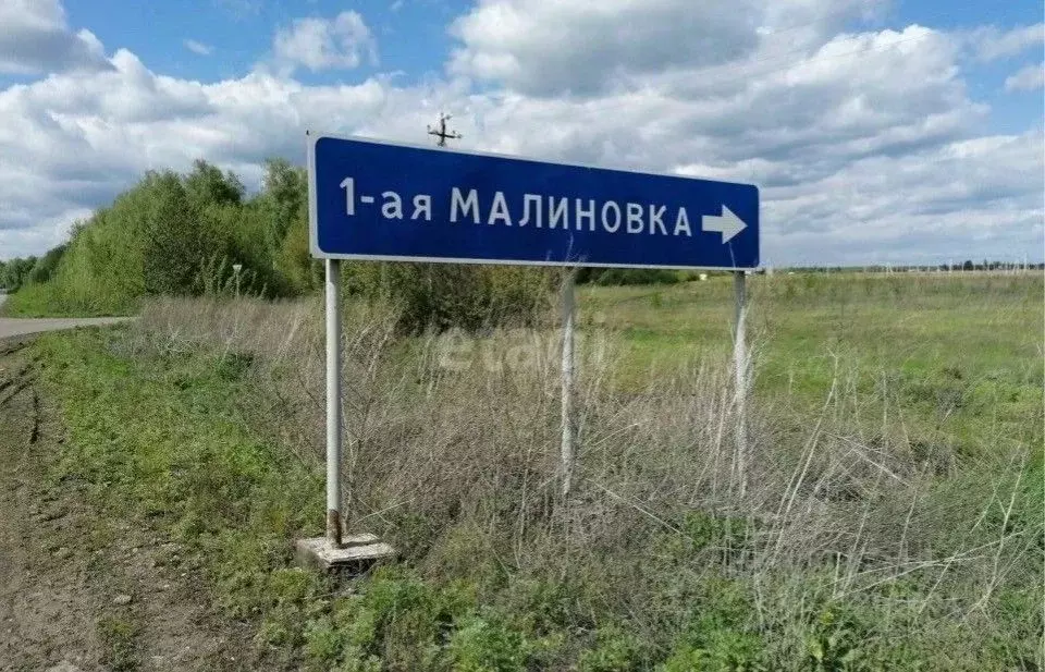 Участок в Тамбовская область, Тамбовский муниципальный округ, д. ... - Фото 1