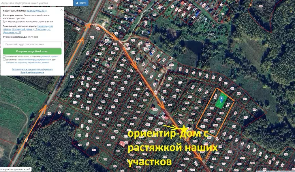 Участок в Нижегородская область, Богородский район, д. Трестьяны ул. ... - Фото 1