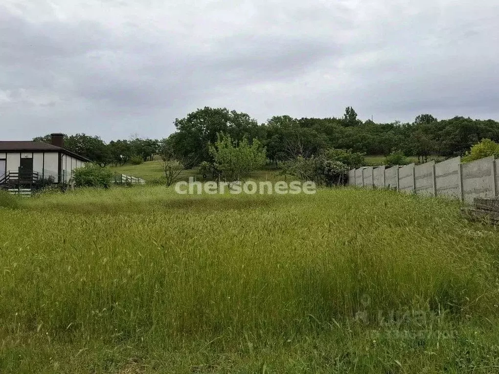 Участок в Севастополь с. Вишневое, ул. Дружбы (8.0 сот.) - Фото 2