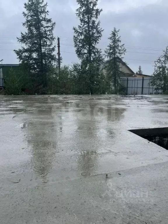 Участок в Ямало-Ненецкий АО, Новый Уренгой Простоквашино дачный ... - Фото 1