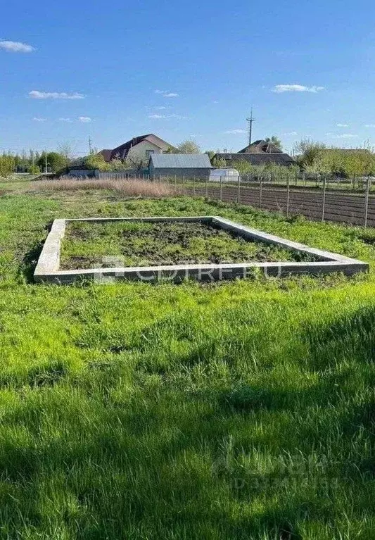 Участок в Курская область, Октябрьский район, Черницынский сельсовет, ... - Фото 2