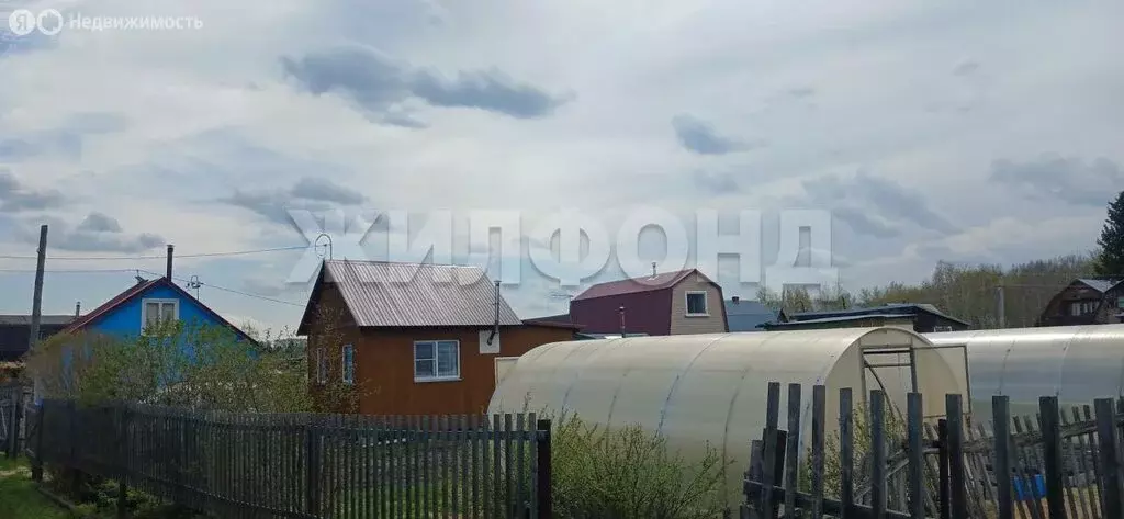 Дом в Новосибирская область, Коченёвский муниципальный район, садовое ... - Фото 2