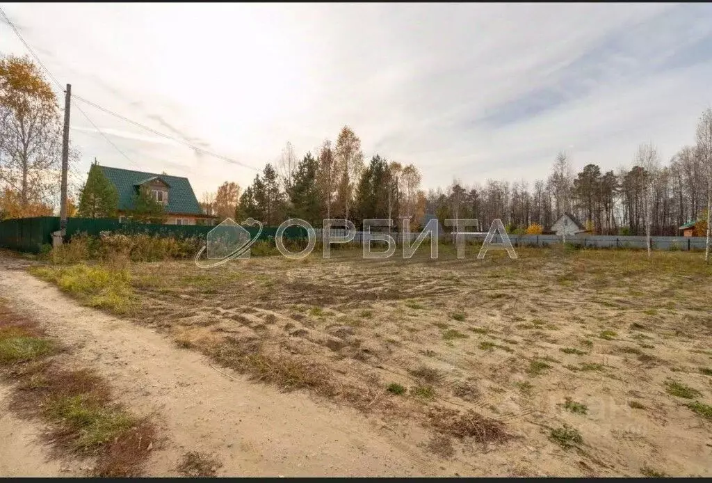 Участок в Тюменская область, Нижнетавдинский район, Геолог-2 СНТ 1-я ... - Фото 1