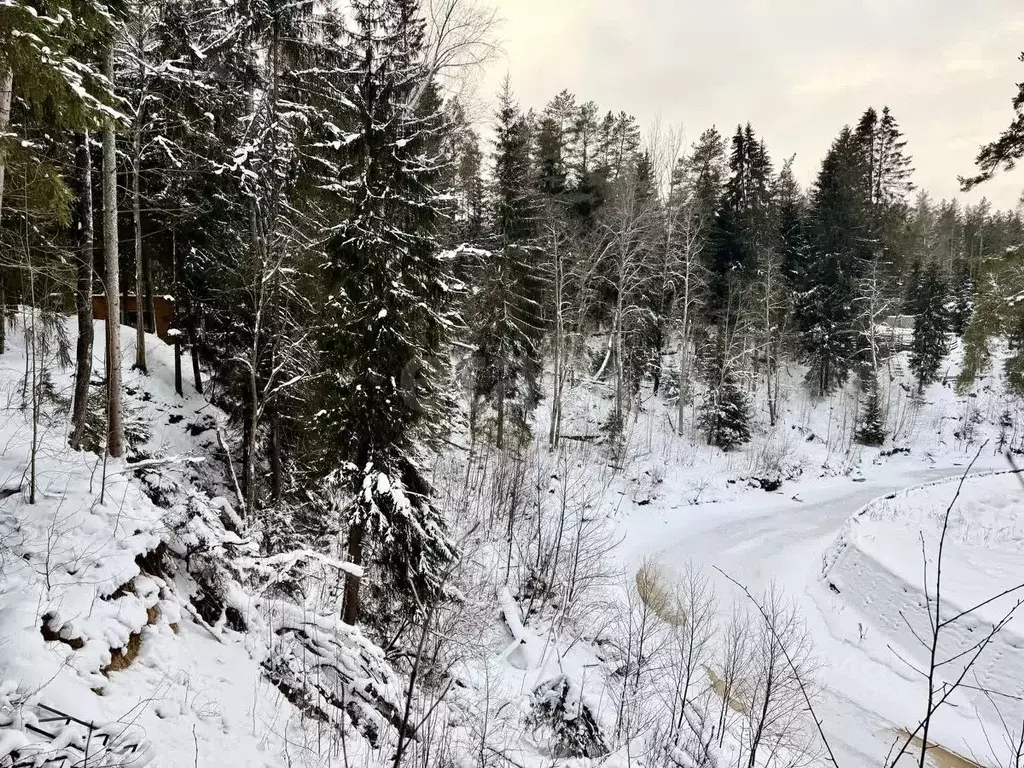 Участок в Санкт-Петербург пос. Репино, Ленгипроречтранс СНТ, ул. ... - Фото 0