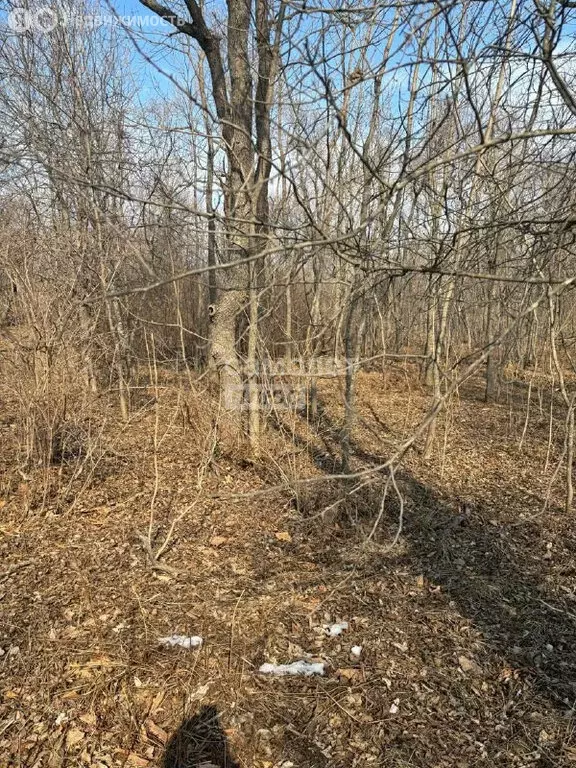 Участок в Владивостокский городской округ, посёлок Попова, Бассейная ... - Фото 2