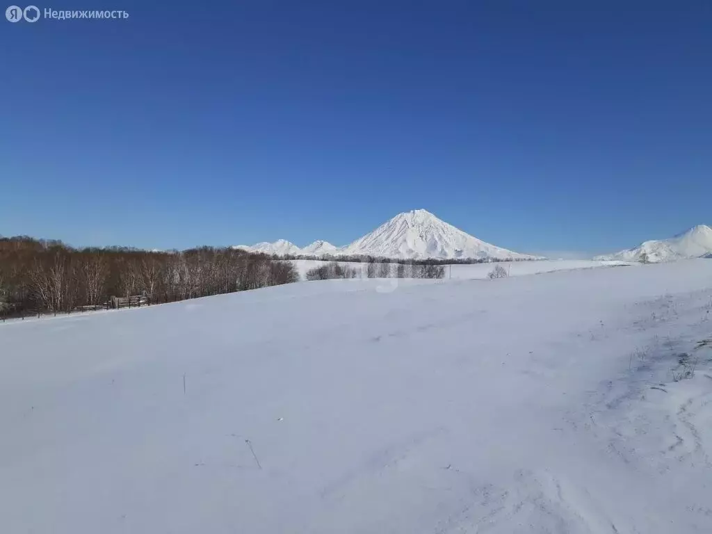 Участок в Новоавачинское сельское поселение, посёлок Красный (15 м) - Фото 0