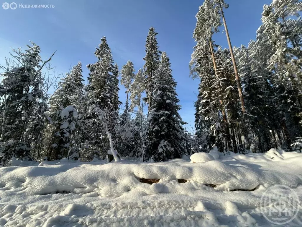 Участок в Сертолово, СНТ Медное Озеро-3 (10 м) - Фото 0