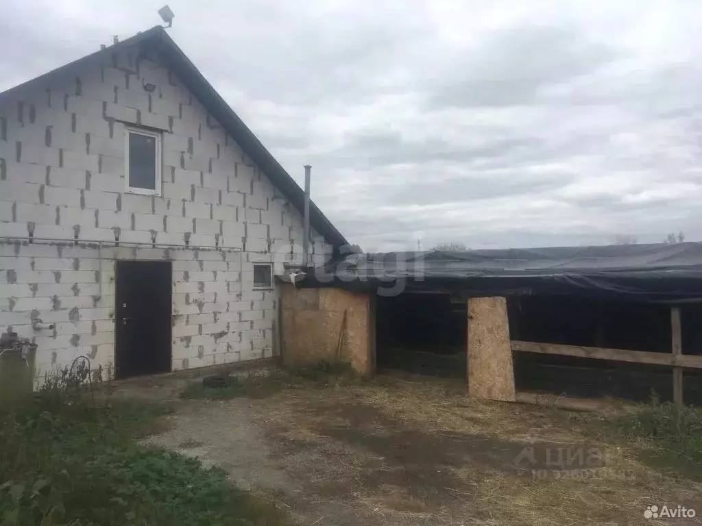 Помещение свободного назначения в Белгородская область, Губкинский ... - Фото 1