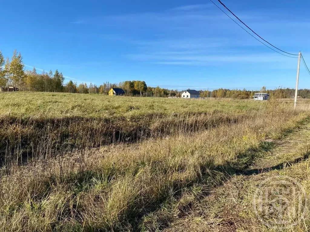 Участок в Ленинградская область, Ломоносовский район, Низинское с/пос, ... - Фото 1