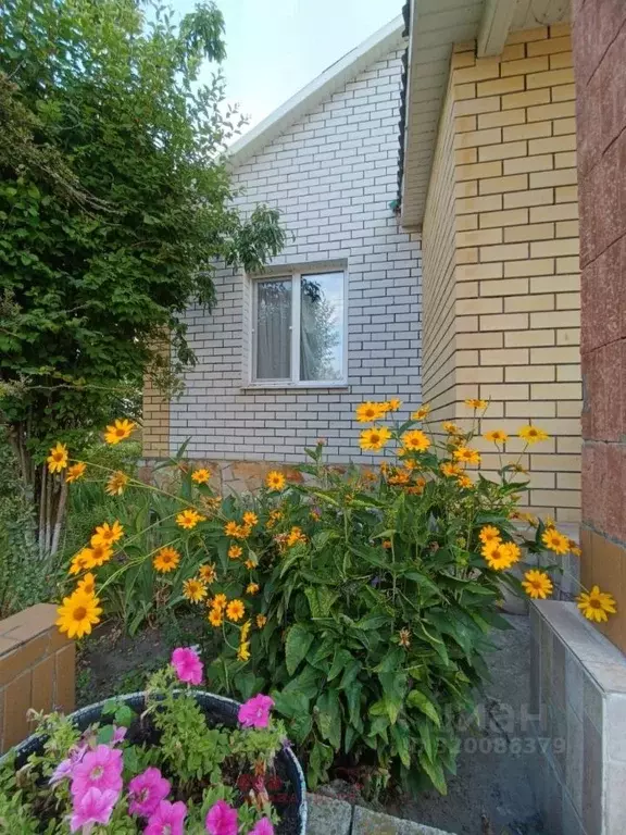 Дом в Белгородская область, Белгородский район, Поселок Разумное ... - Фото 1