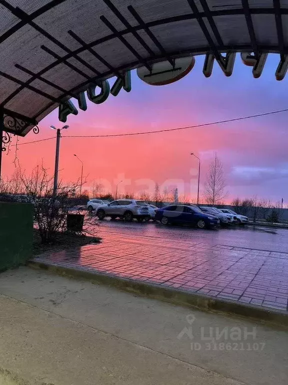 Помещение свободного назначения в Калужская область, Бабынинский ... - Фото 2