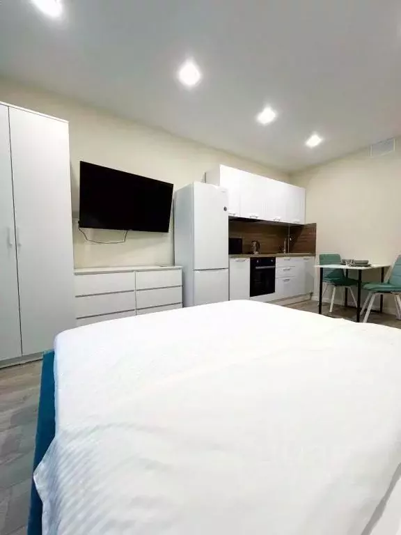 1-к кв. Краснодарский край, Сочи ул. Искры, 88к3 (27.0 м) - Фото 1