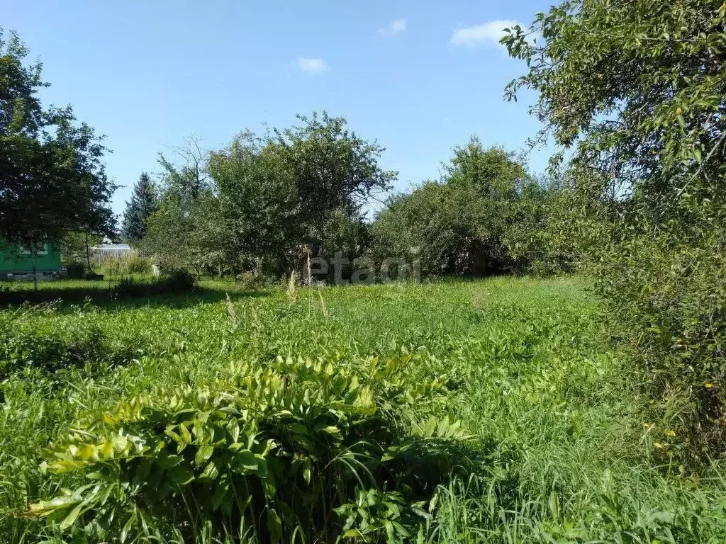 Участок в Московская область, Дубна Заря-1 садовое товарищество,  (6.0 ... - Фото 1