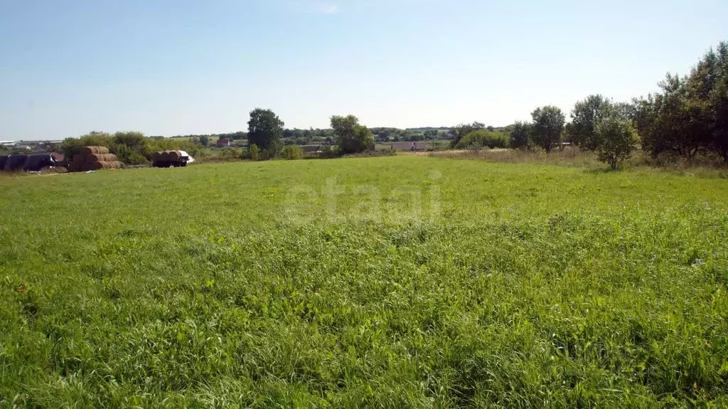 Участок в Орловская область, Свердловский район, Богодуховское с/пос, ... - Фото 1