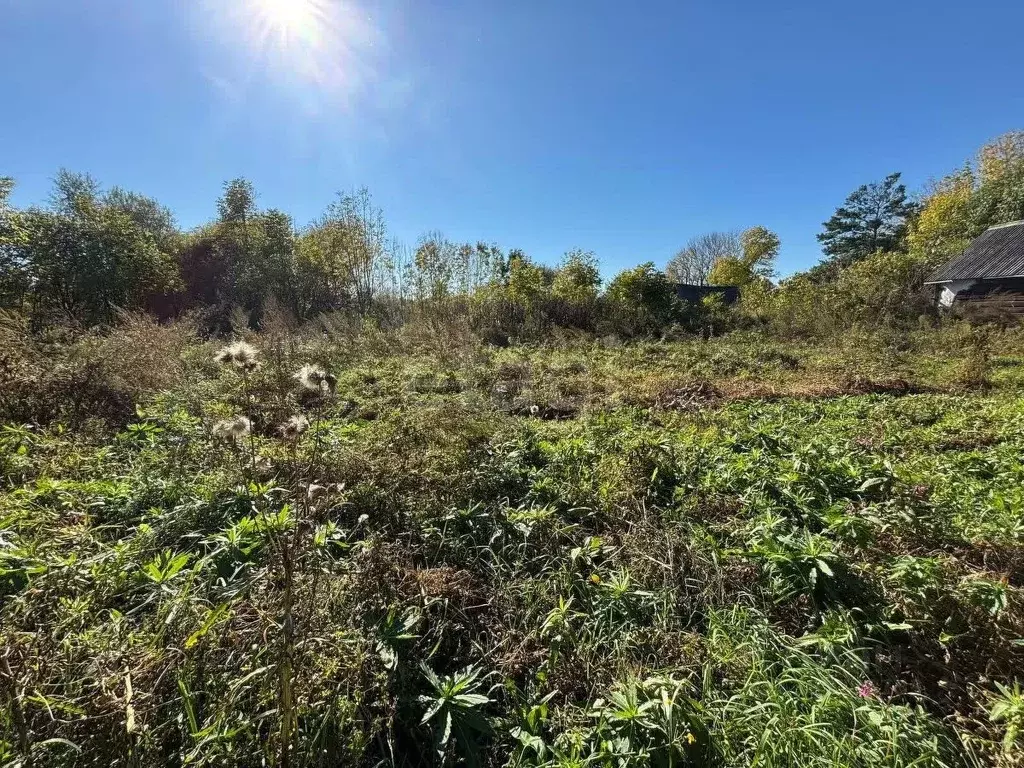 Дом в Еврейская автономная область, Смидовичский район, пос. ... - Фото 1