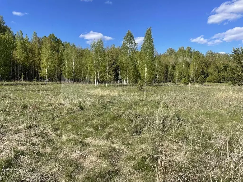 Участок в Тюменская область, Тюмень Велижанский тракт, 7-й км, 8 (7.0 ... - Фото 2