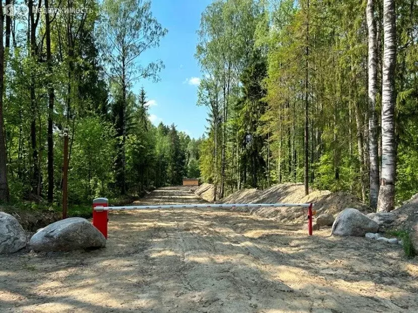 Участок в Всеволожский район, Сертолово (9.9 м) - Фото 0