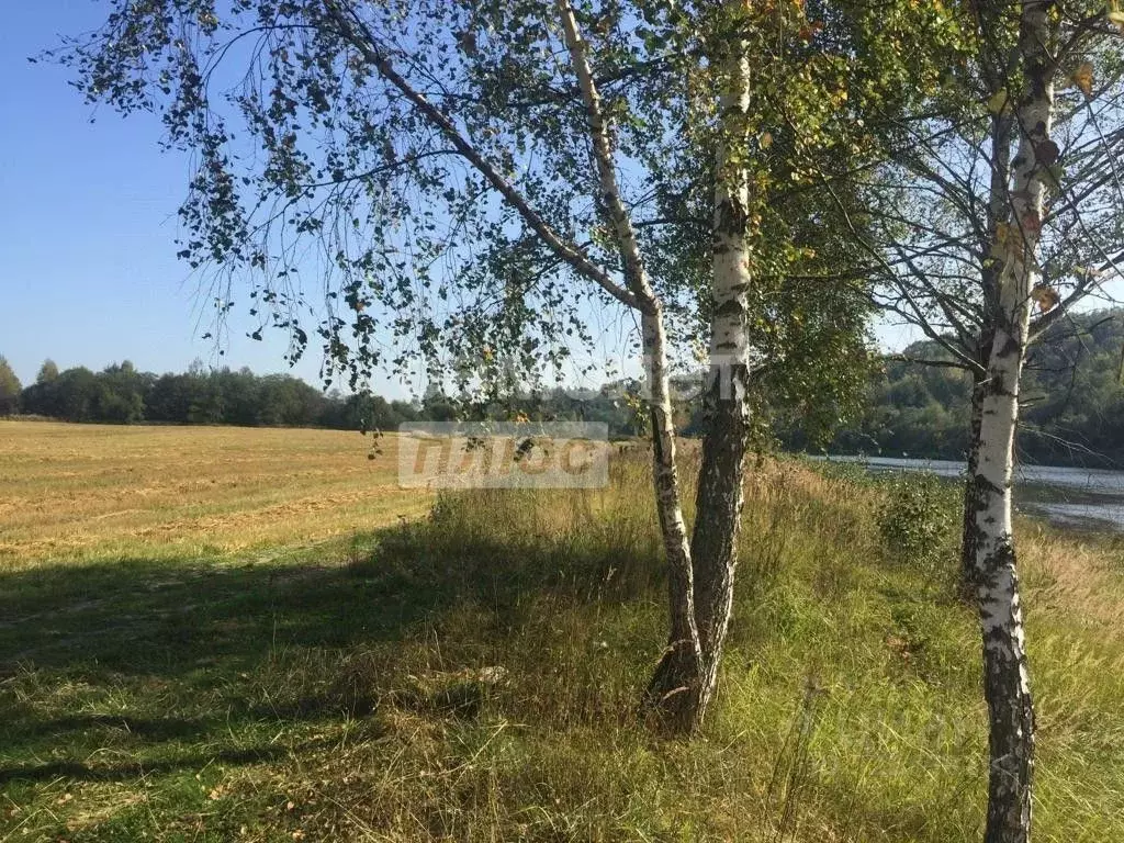 Участок в Московская область, Рузский муниципальный округ, д. ... - Фото 2