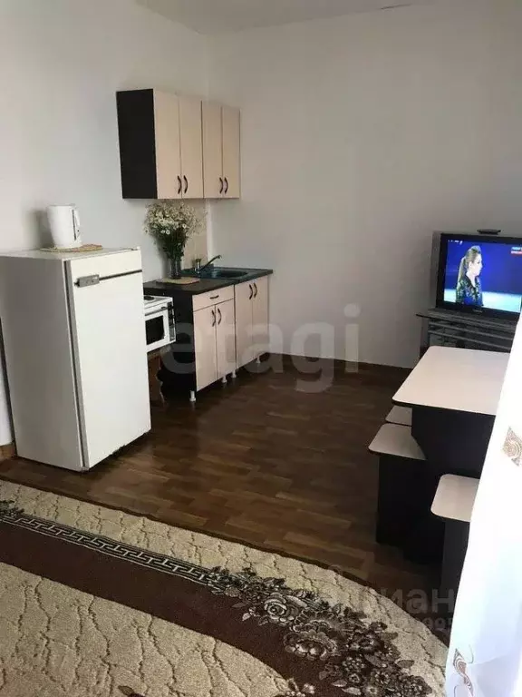 Студия Красноярский край, Красноярск ул. Борисова, 42 (24.0 м) - Фото 0