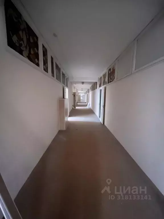 Офис в Пензенская область, Пенза ул. Баумана, 30 (1000 м) - Фото 0