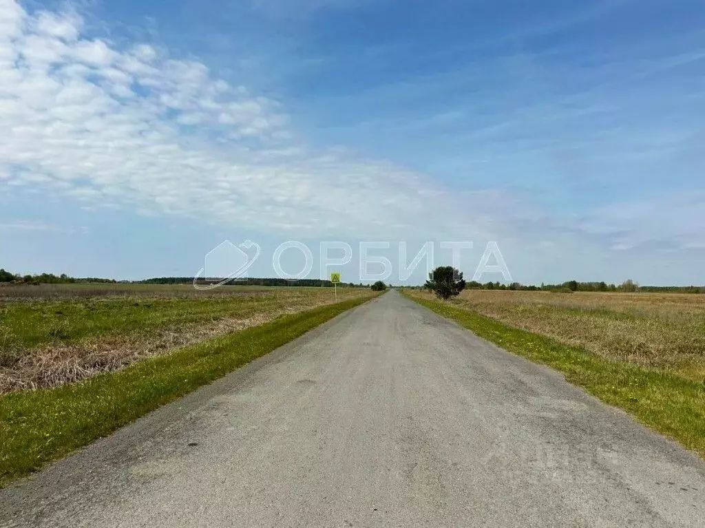 Участок в Курганская область, Шадринский муниципальный округ, д. ... - Фото 2