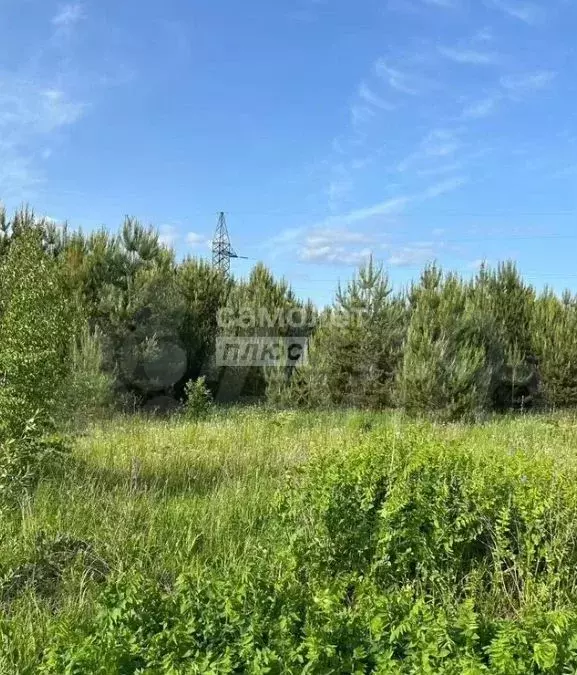 Участок 85,1 сот. (личное подсобное хозяйство (лпх)) - Фото 1