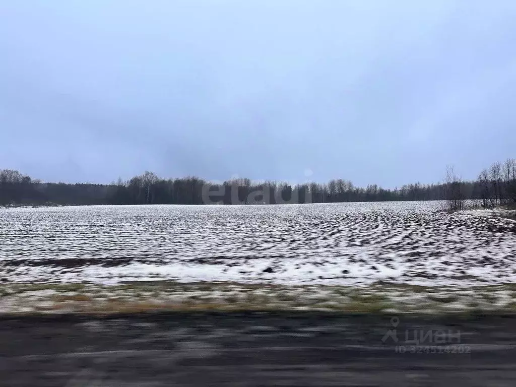 Участок в Ярославская область, Тутаевский муниципальный округ, ... - Фото 1